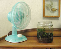 夏は水槽の水面に扇風機の風を当てることで気化熱によって水温を下げる